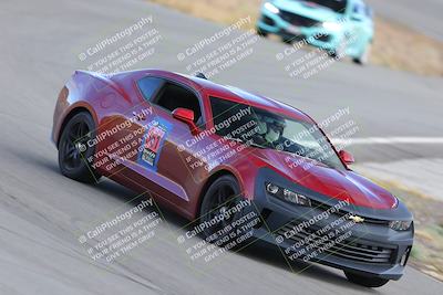 media/Nov-18-2023-Extreme Speed (Sat) [[10c227f63a]]/5-Blue/turn 9/